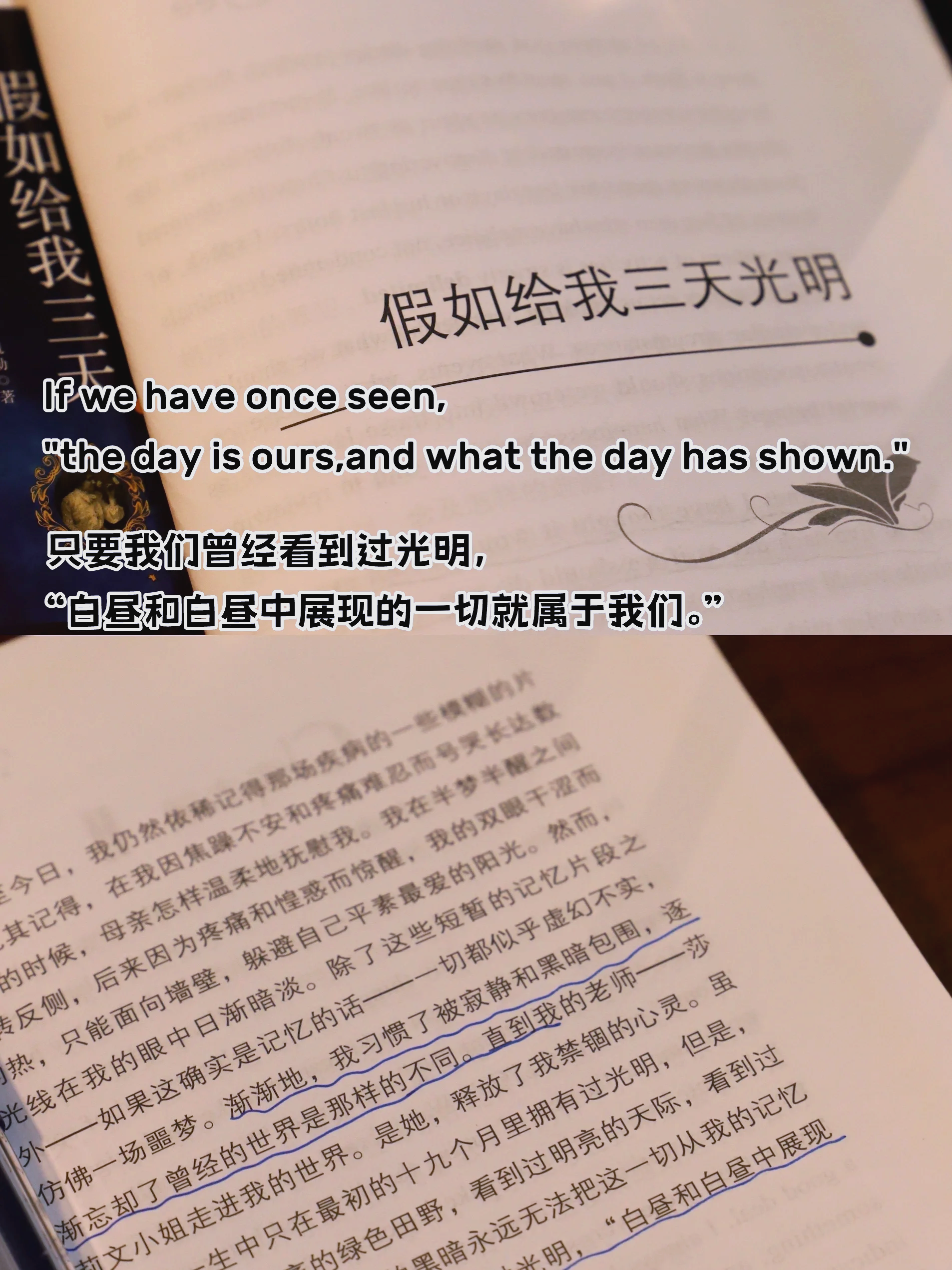 热刺无冠魔咒：凯恩离开后的路在何方？的简单介绍