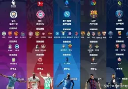 九游体育登录-关于升降级制度：五大联赛谁最残酷？的信息